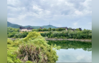 寻踪宛陵黄檗道场 | 吴越黄檗踪迹
